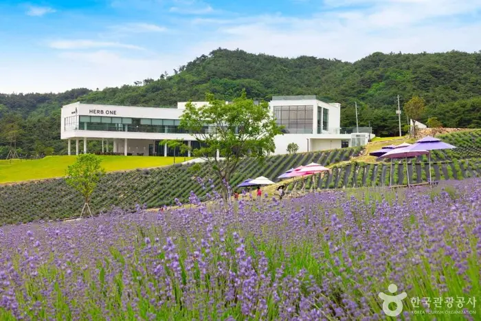 정읍 허브원 · 관광지