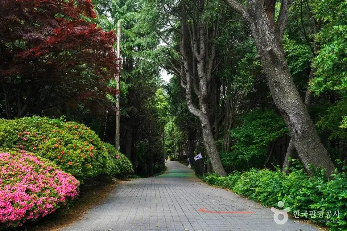 산호공원(용마공원) 시의거리 · 관광지