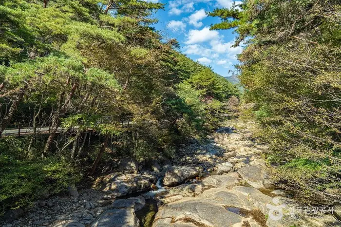 구례 장죽전 녹차시배지 · 관광지