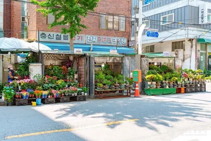 종로꽃시장 · 쇼핑