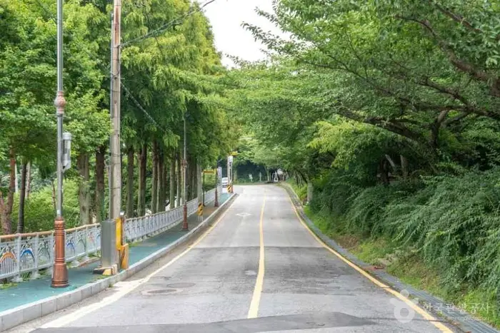 유달산일주도로 · 레포츠