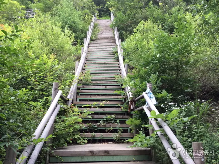 소구니산 · 관광지