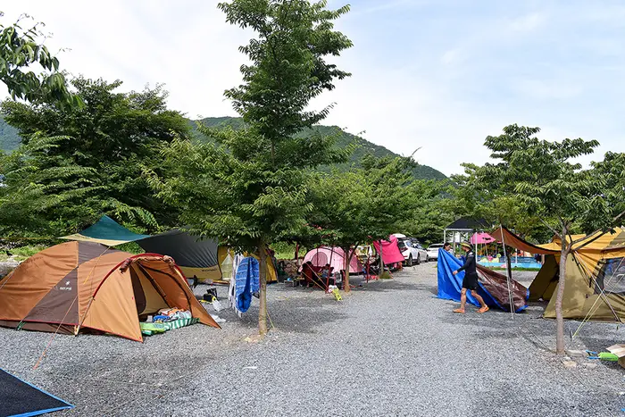 초록슈피아캠핑장 · 레포츠