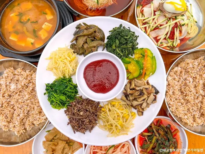 내고향보리밥 백년가야밀면 · 음식점