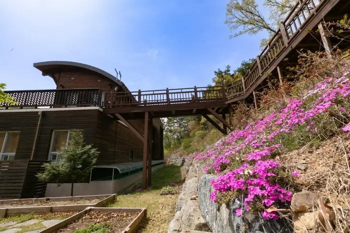 국립예산치유의숲 · 관광지