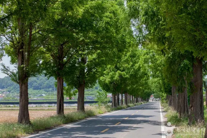 죽동마을 · 관광지