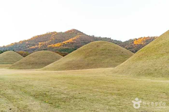 경주 서악동 고분군 · 관광지