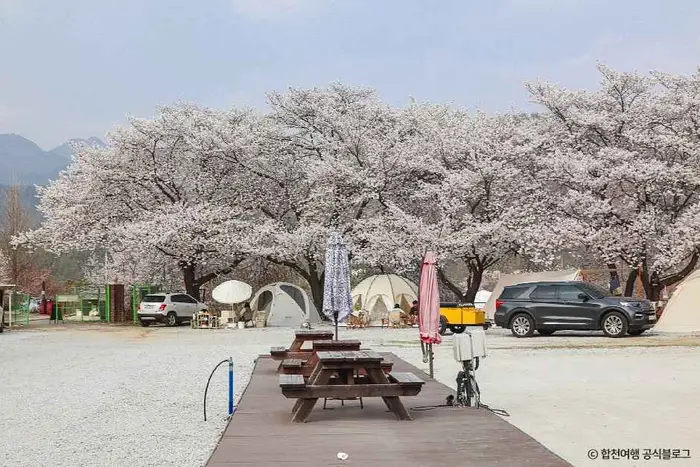 꿈꾸는캠핑장 · 레포츠