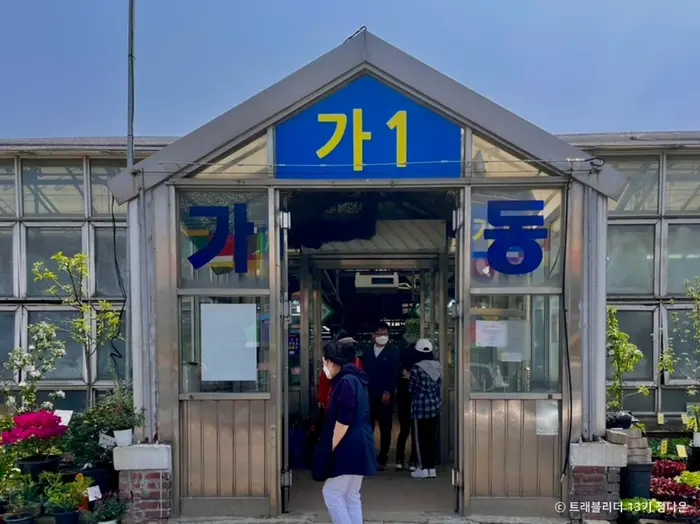 양재꽃시장 · 쇼핑