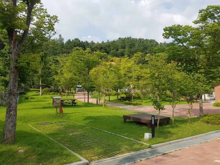 홍천강 자라바위 오토캠핑장 · 레포츠