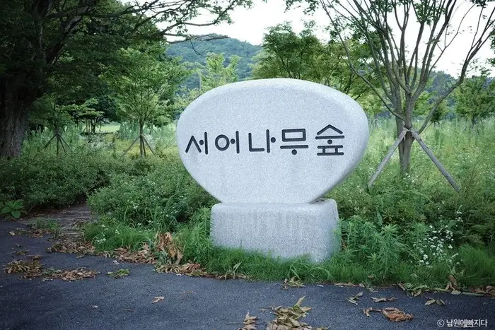 서어나무 숲 · 관광지