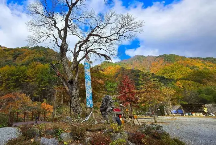 그린필로우 · 레포츠