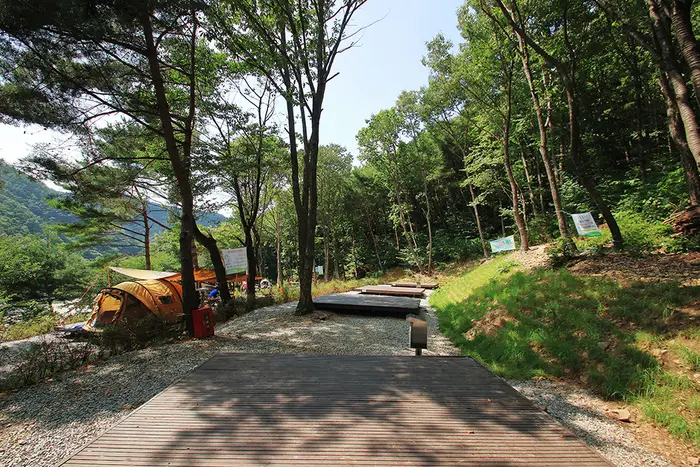 용현자연휴양림야영장 · 레포츠