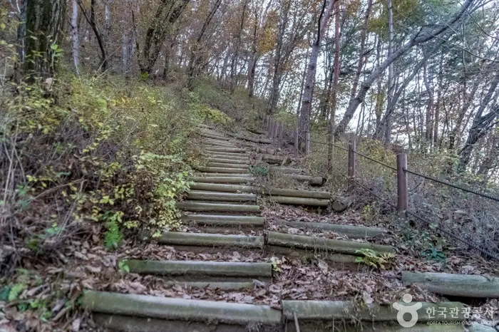 배부른산 · 관광지