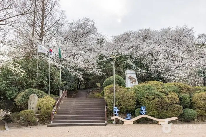 죽도봉공원 · 관광지