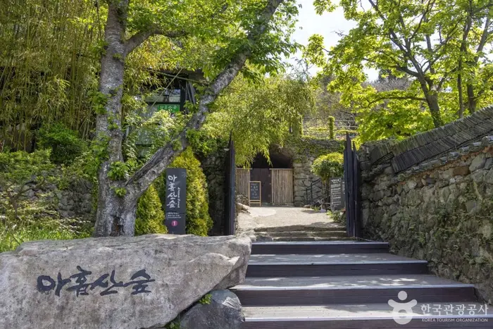 아홉산숲 · 관광지