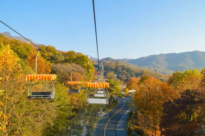 스카이리프트 · 레포츠