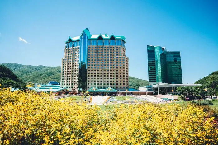 하이원 그랜드호텔 · 숙박