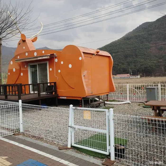 청도 원더랜드 (반려견 전용 숙박체험공간) · 레포츠