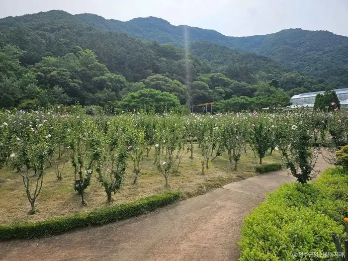 고산문화공원 · 관광지