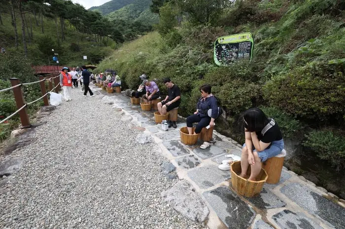산청한방약초축제 포스터 사진 5