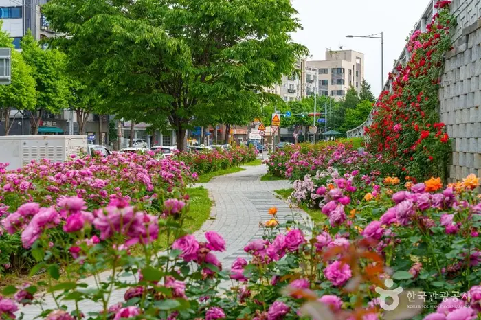 중랑장미공원 · 관광지