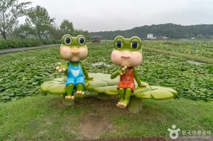 내동마을 연꽃단지 · 관광지