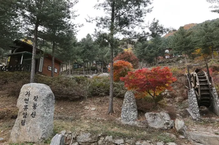 칼봉산자연휴양림 · 관광지