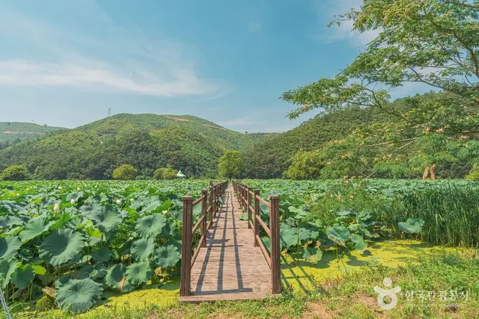 회야댐 생태습지 · 관광지