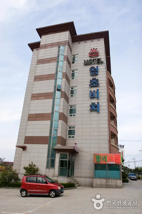 청초비치 모텔 · 숙박