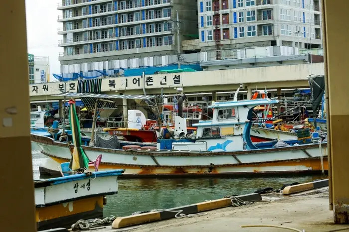 사천진항 · 관광지