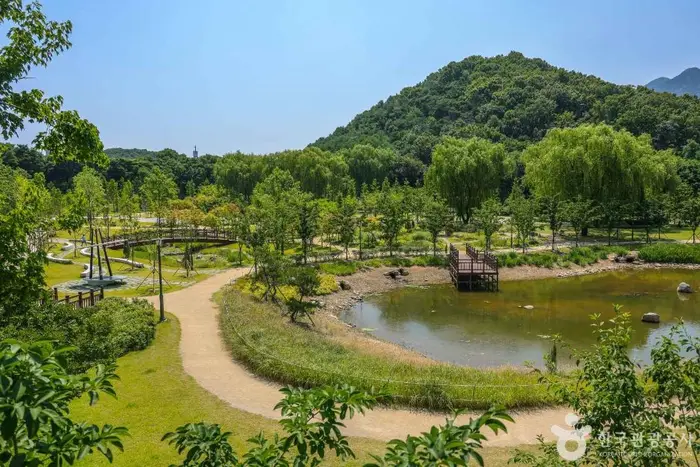 대구 대표 도시숲 · 관광지