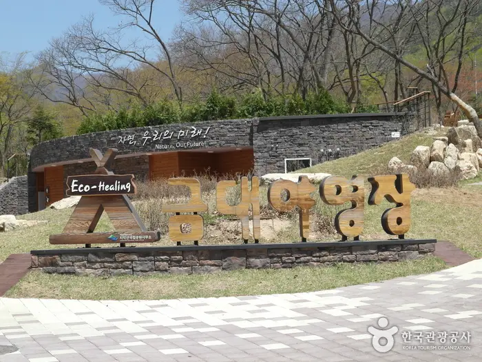 금대 에코힐링 캠핑장 · 레포츠