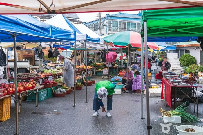 성환이화시장 (1, 6일) · 쇼핑