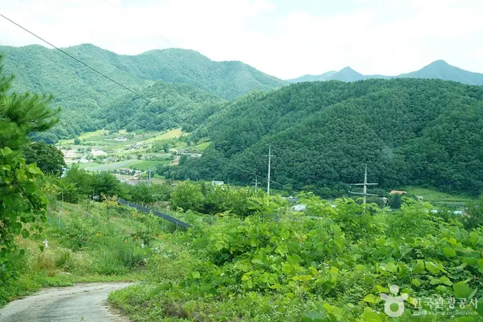 기우산(정선) · 관광지