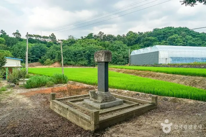 김남택신도비 · 관광지