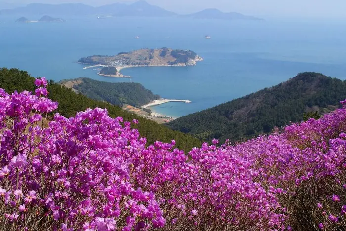 이수도 · 관광지