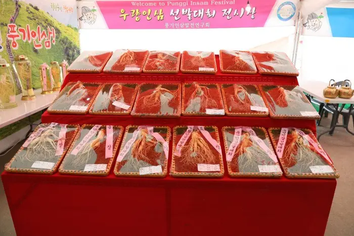 영주 풍기인삼축제 포스터 사진 2