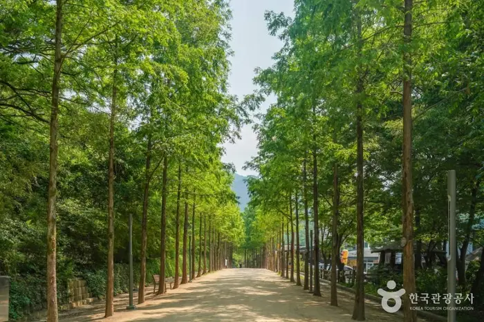 앞산자락길 · 레포츠
