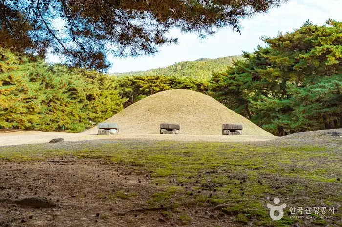 경주 배동 삼릉 · 관광지