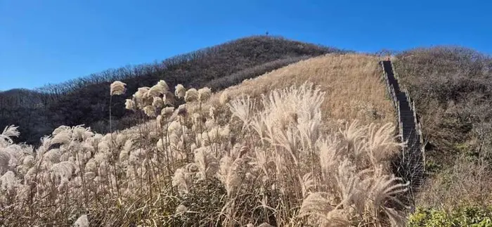 장안산군립공원 · 관광지