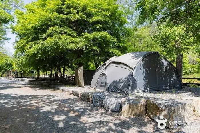 용두산오토캠핑장 · 레포츠