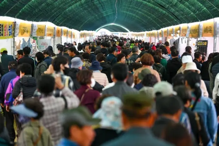영주 풍기인삼축제 포스터 사진 3