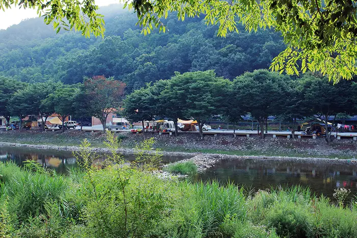 벌곡오토캠핑장 · 레포츠