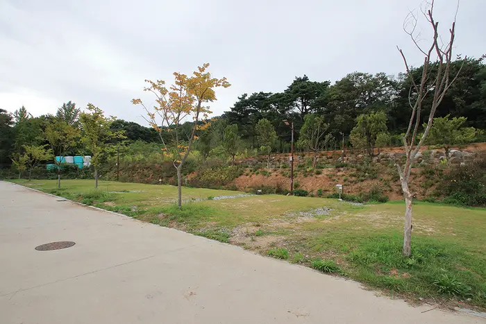 천수만권역상황오토캠핑장 · 레포츠