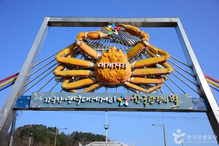 강구항 대게거리 · 관광지