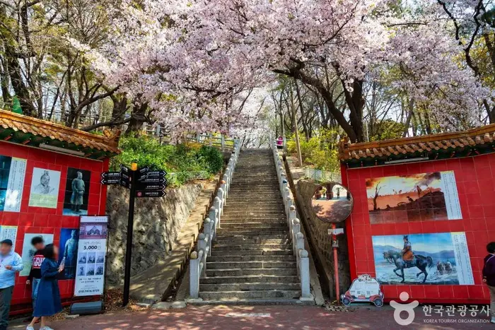 삼국지 벽화거리 · 관광지
