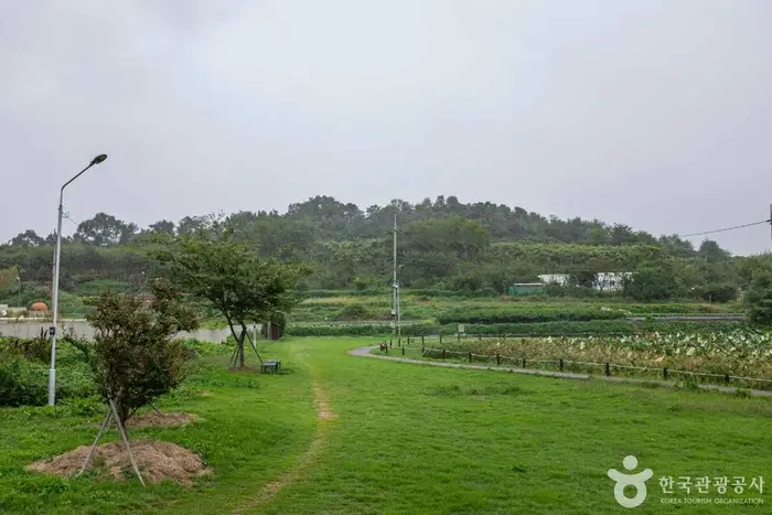 남미질부성 · 관광지