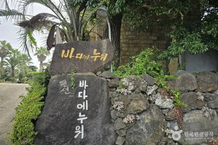 바다에누워 펜션 · 숙박