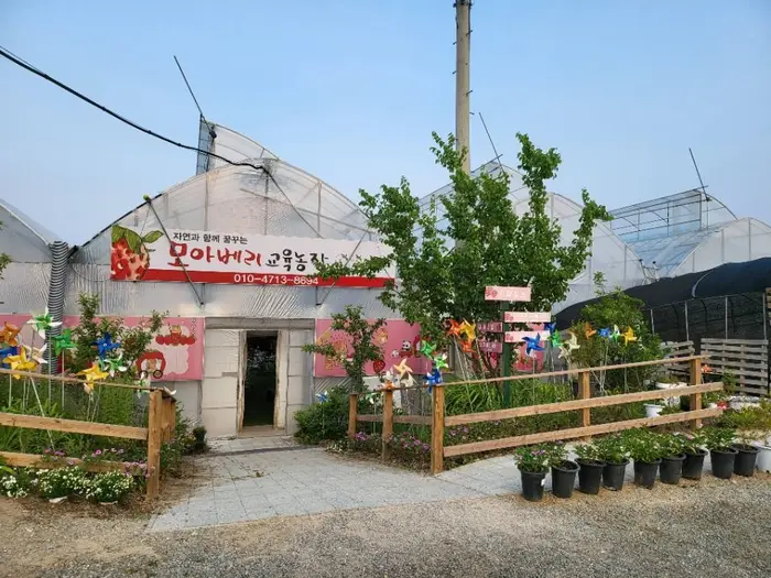 모아베리교육농장 · 관광지